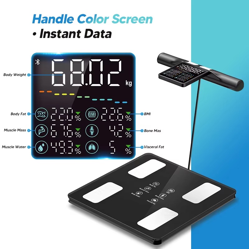 Nieuwe intelligente lichaamsve - Home Gym Body Solid recensie en prijs
