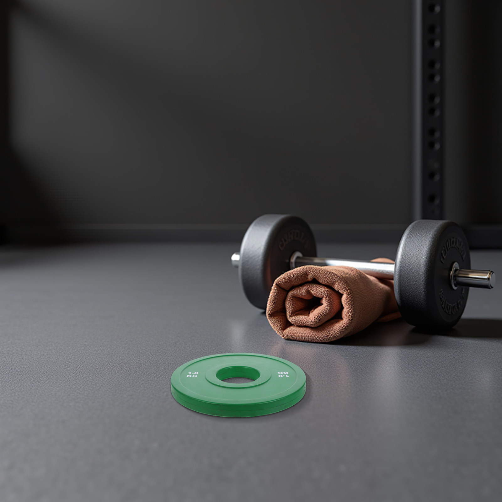 Rubberen Gewichtsschijven Halt - Weight Plate Bumper recensie en prijs